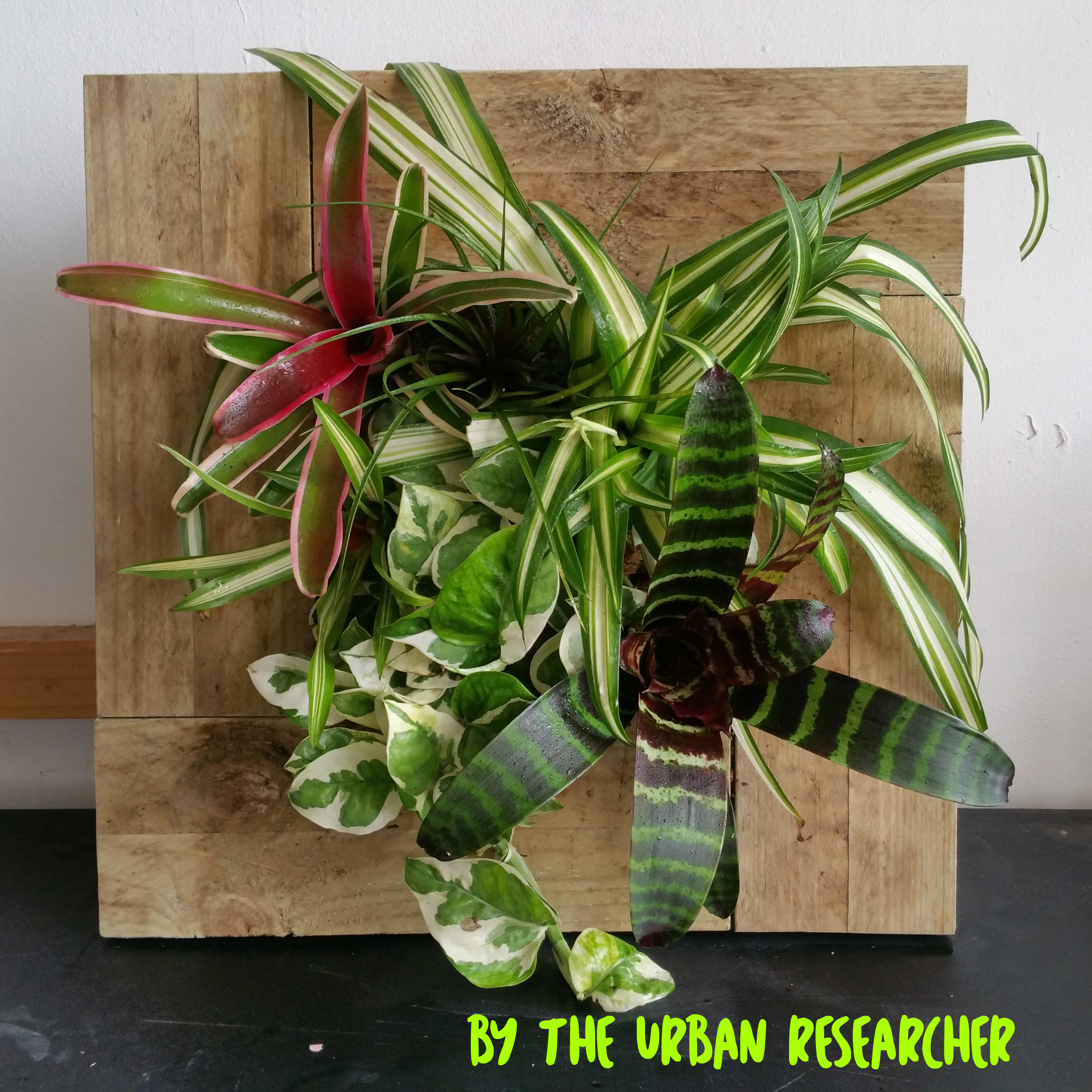 Picture-Frame-Planter-By-The-Urban-Researcher.jpg