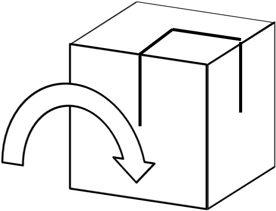 Picture5.jpg