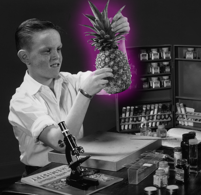 PineappleScience.png