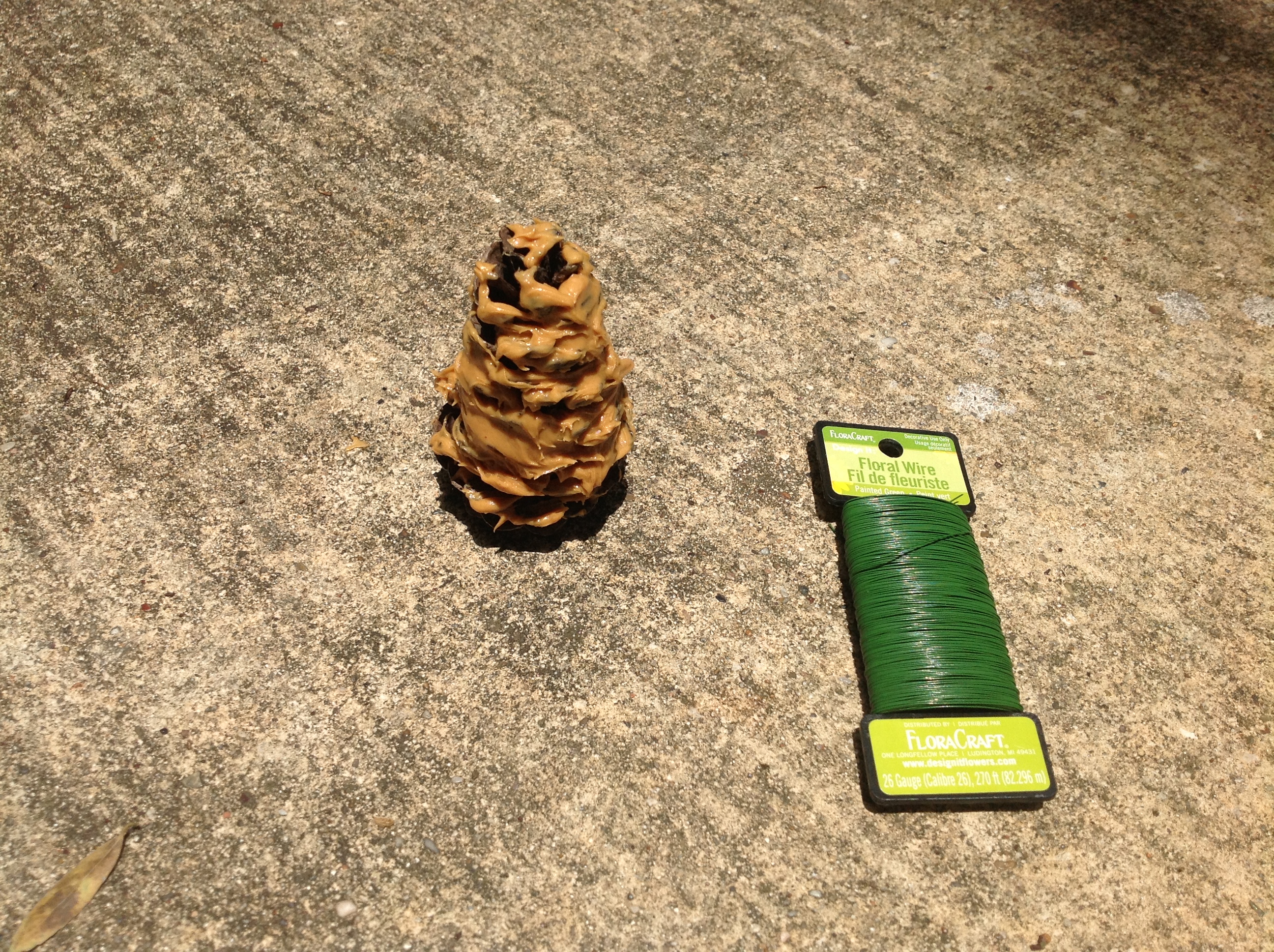 Pinecone and Wire.JPG