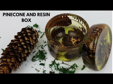 Pinecone and epoxy Resin box