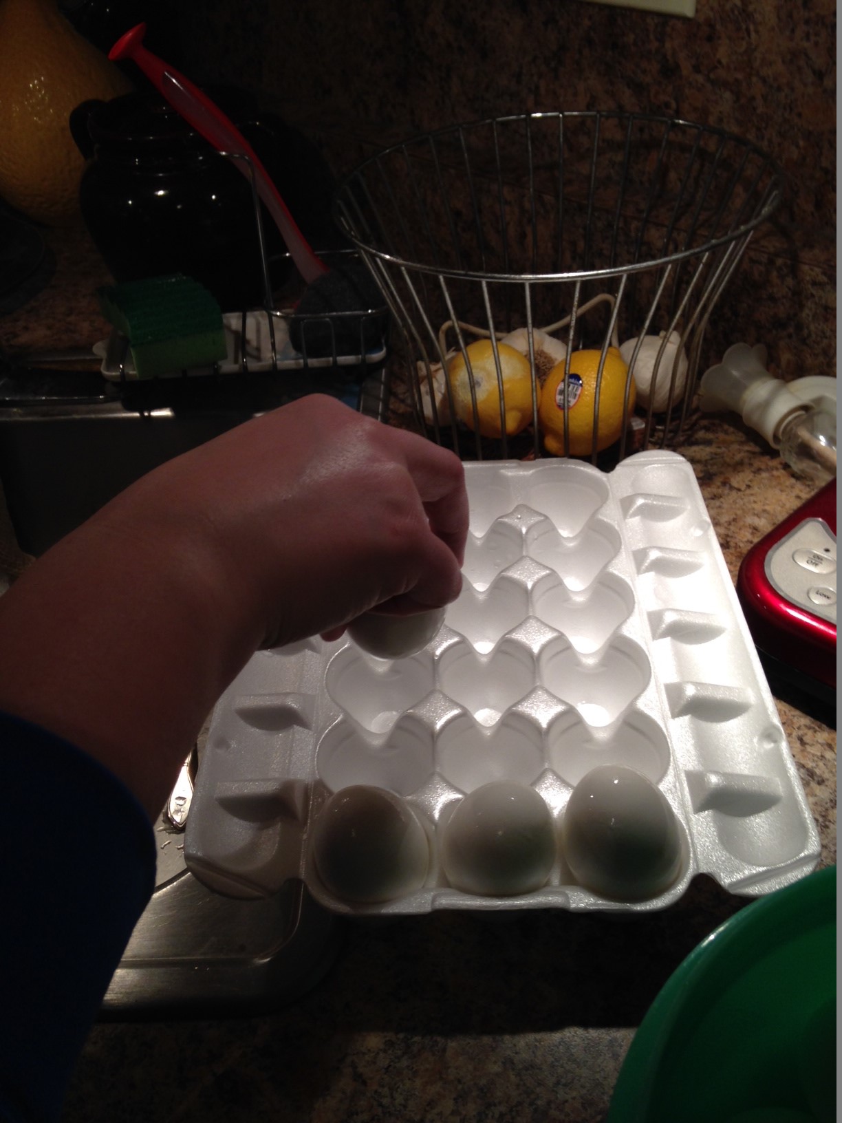 Placing Eggs back in Carton.jpeg