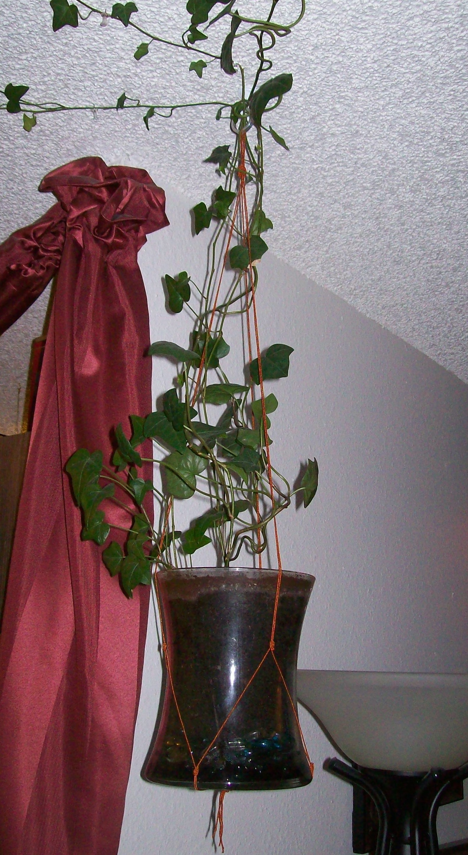 Plant hanger.JPG