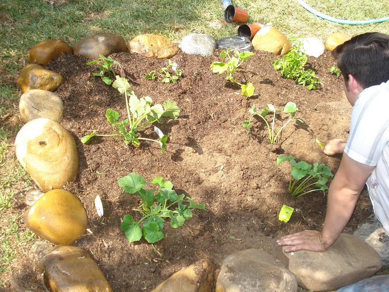 Planting Squash.JPG