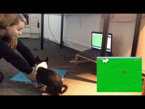 Playing video games with my dog using Arduino