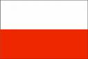 Polish Flag.jpg