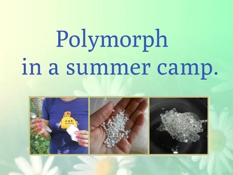 Polymorph in a summer camp.