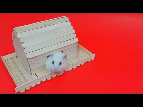 Popsicle sticks crafts - How to make popsicle hamster house