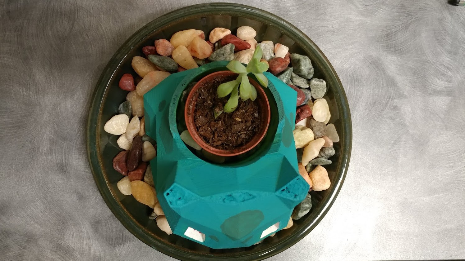 Pot your Plants Bulbasaur.jpg