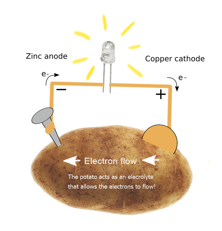 Potato Diagram.png