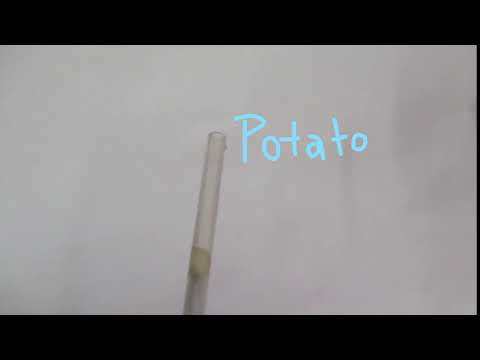 Potato projectile