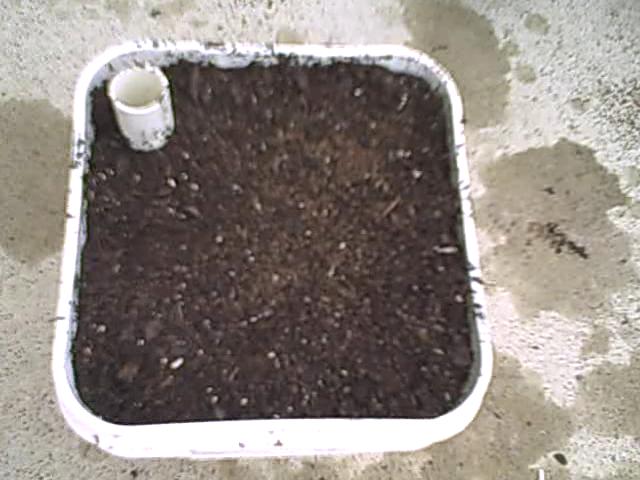 Prepared Potting Mix.jpg