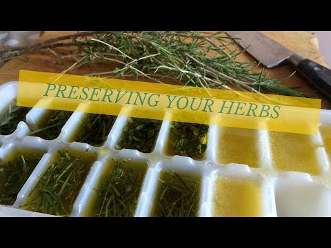 Preserve your Herbs - in Olive oil