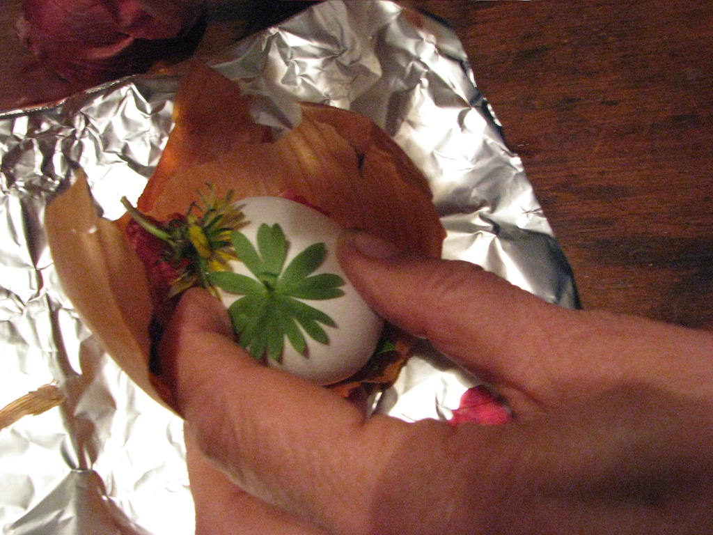 Pressing Leaves to Egg-Dutch Dying Eggs 4-15-14.JPG