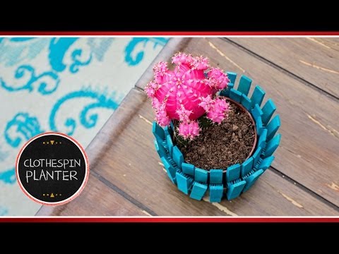 Preval's Maker Minute: Clothespin Planter