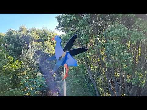 Pukeko Whirligig