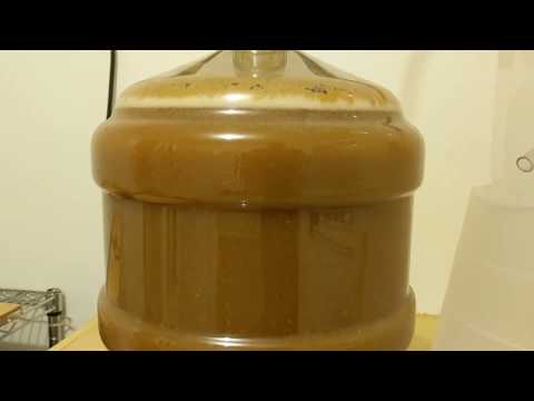 Pumpkin Beer Fermenting