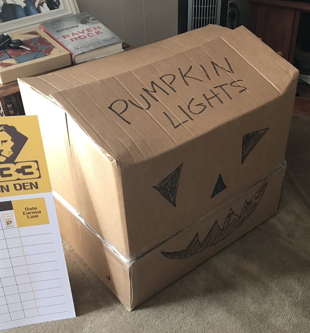 Pumpkin Lights Storage.JPG