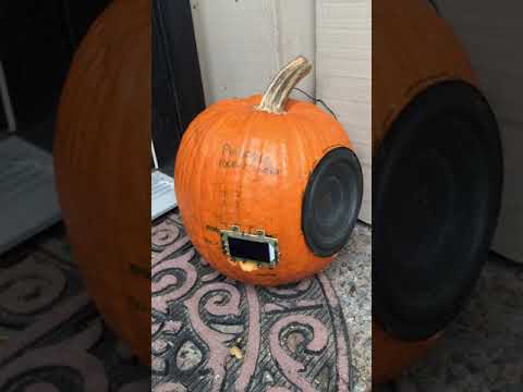 Pumpkin Rocker Radio