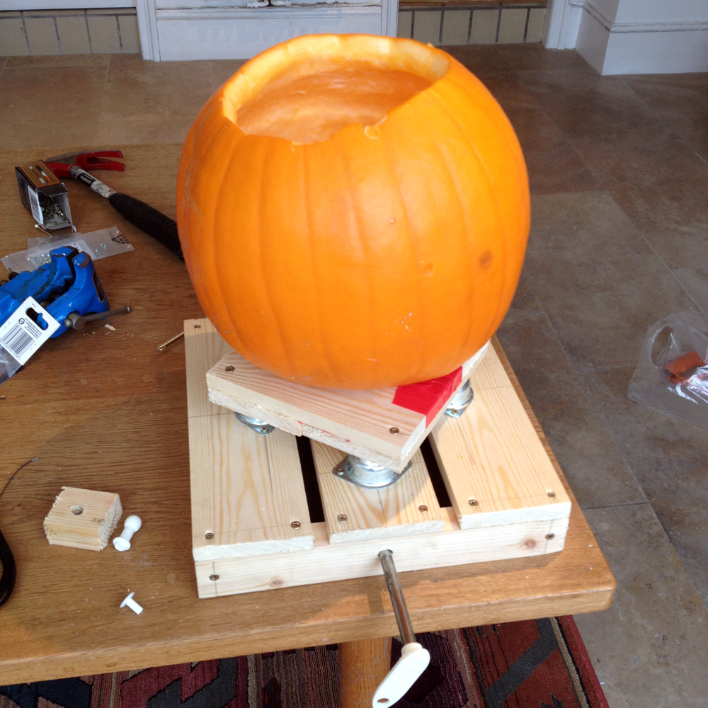 Pumpkin mounted.jpg