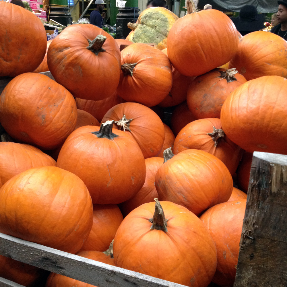 Pumpkin pile.jpg