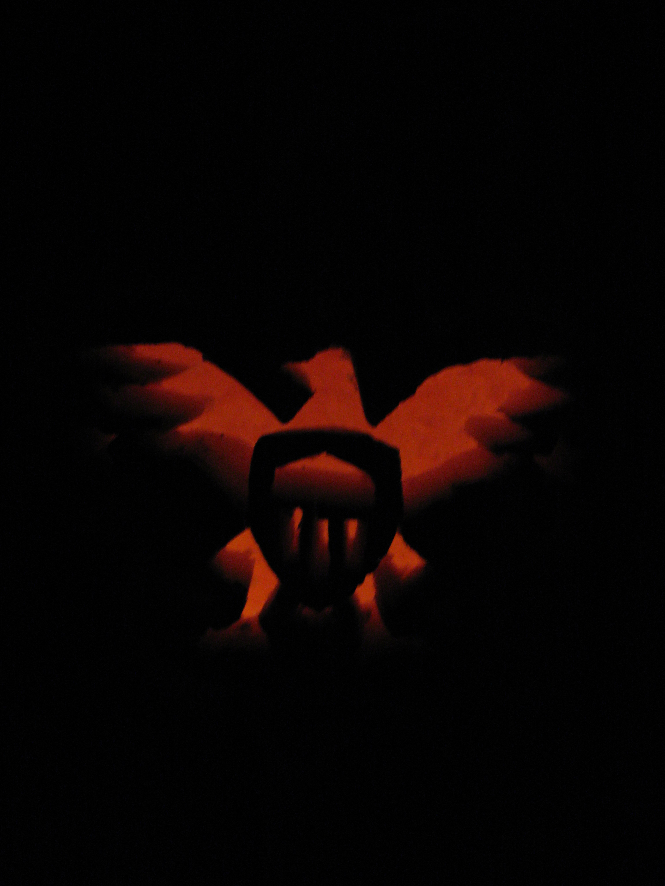 Pumpkin w/ shield (no flash)