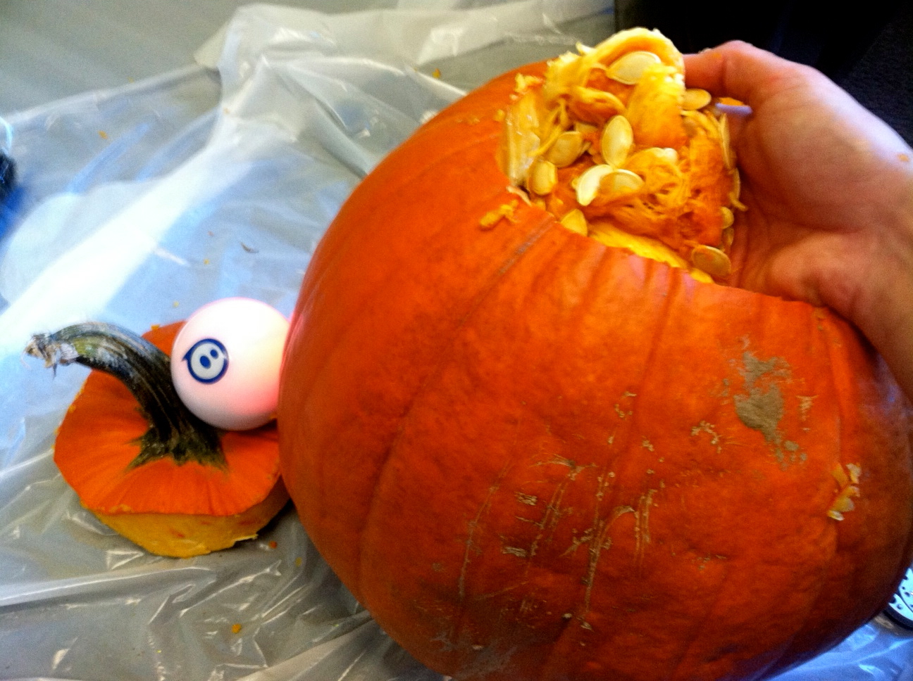 Pumpkin3_WJ.jpg