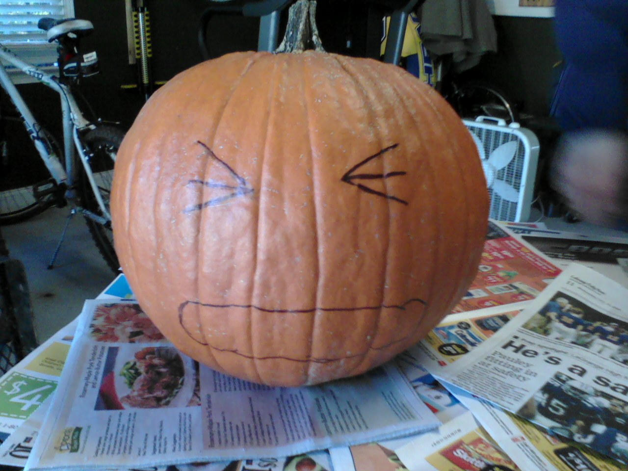 Pumpkin4.jpg