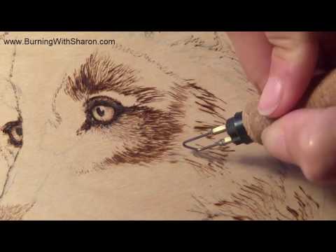 Pyrography: Burning Techniques for Wolf Fur