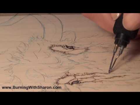 Pyrography: How To Begin Woodburning a Yak or Bison