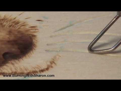 Pyrography: How To Burn In Realistic Whiskers