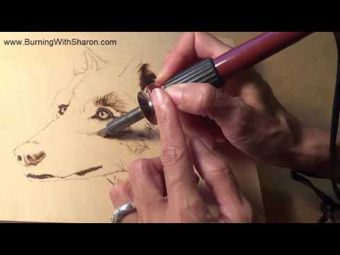 Pyrography: How To Choose Pens for Burning Wolf Fur