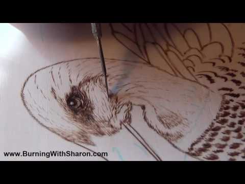 Pyrography: How To Woodburn A Mallard Duck Head