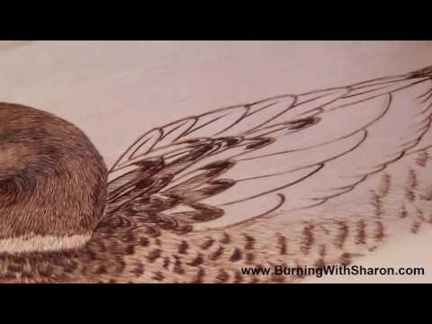 Pyrography: How To Woodburn A Mallard Duck Wing