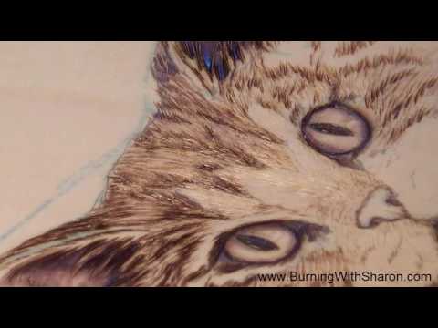 Pyrography: How To Woodburn A Realistic Cat Nose