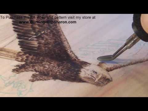 Pyrography: How to Burn a Flying Bald Eagle