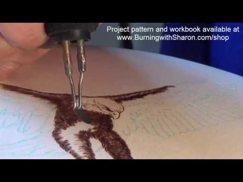 Pyrography: How to Woodburn an Eagle Part 1 &amp;ndash; Torso, Black Feathers, and White Feathers