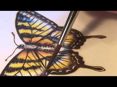 Pyrography Butterfly on Paper