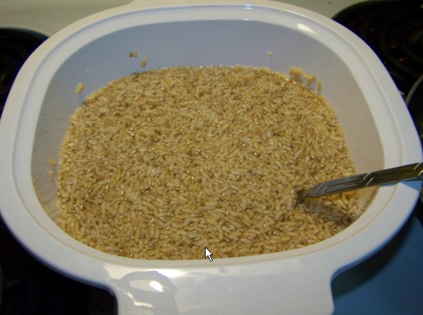 RICE &amp; WATER.jpg