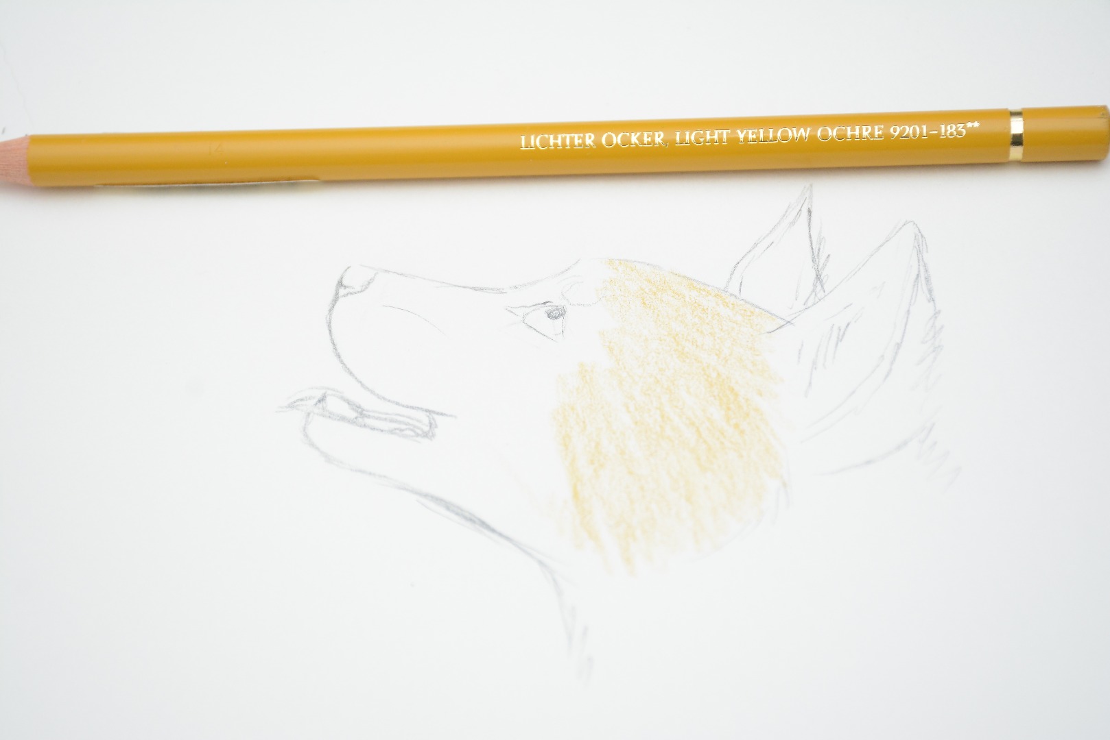 RLH_0418.JPG