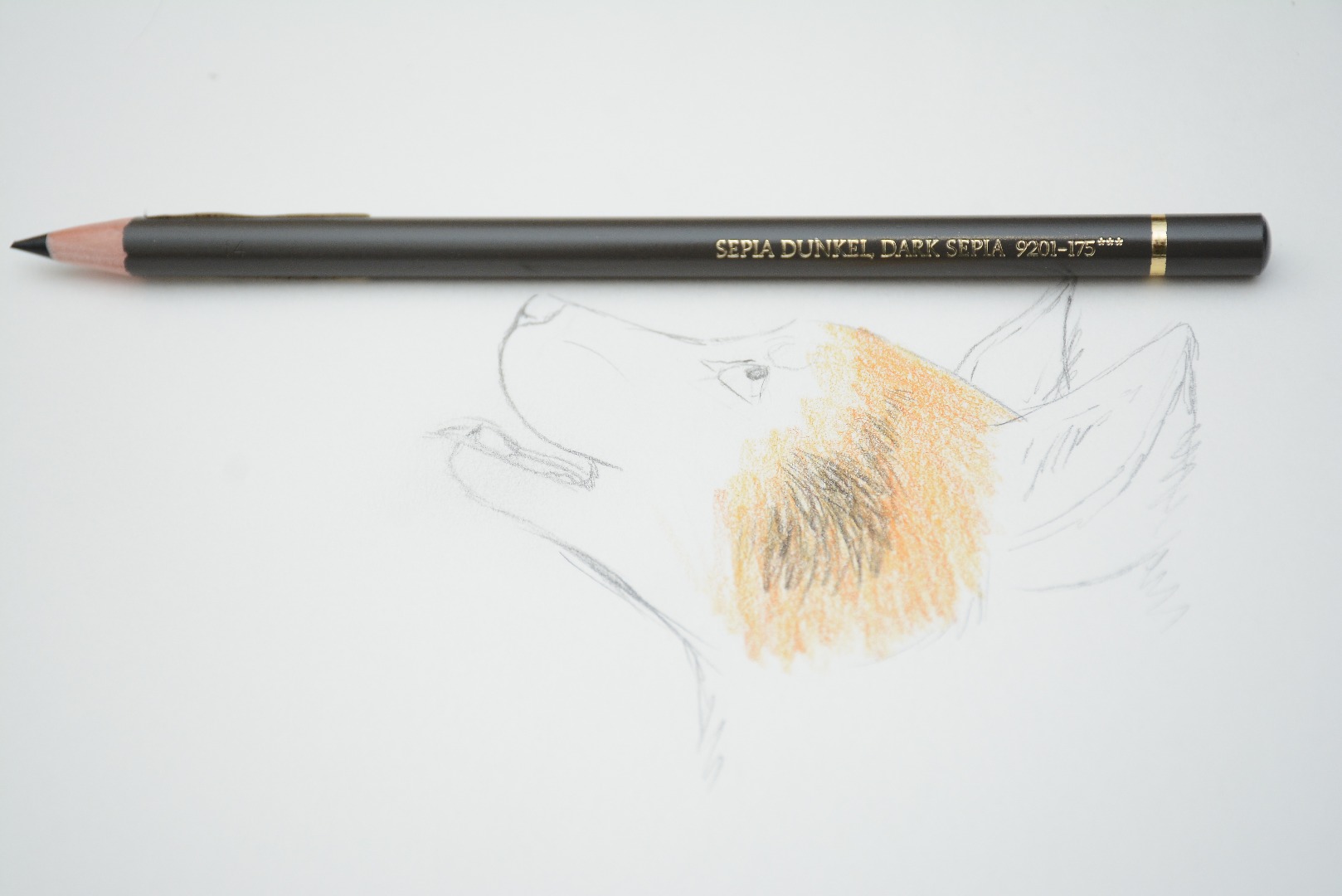 RLH_0424.JPG