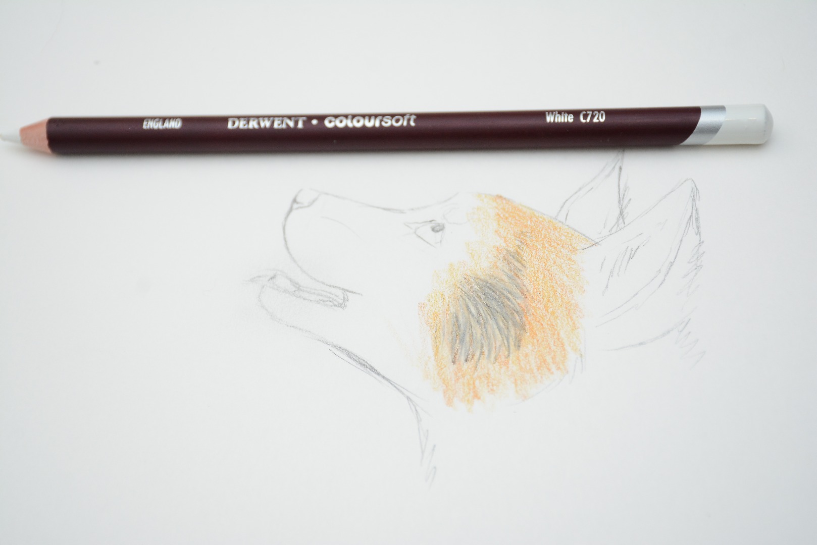 RLH_0425.JPG