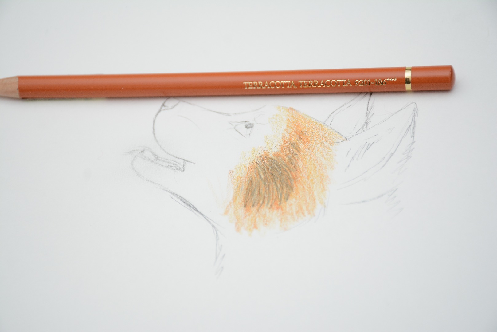 RLH_0426.JPG
