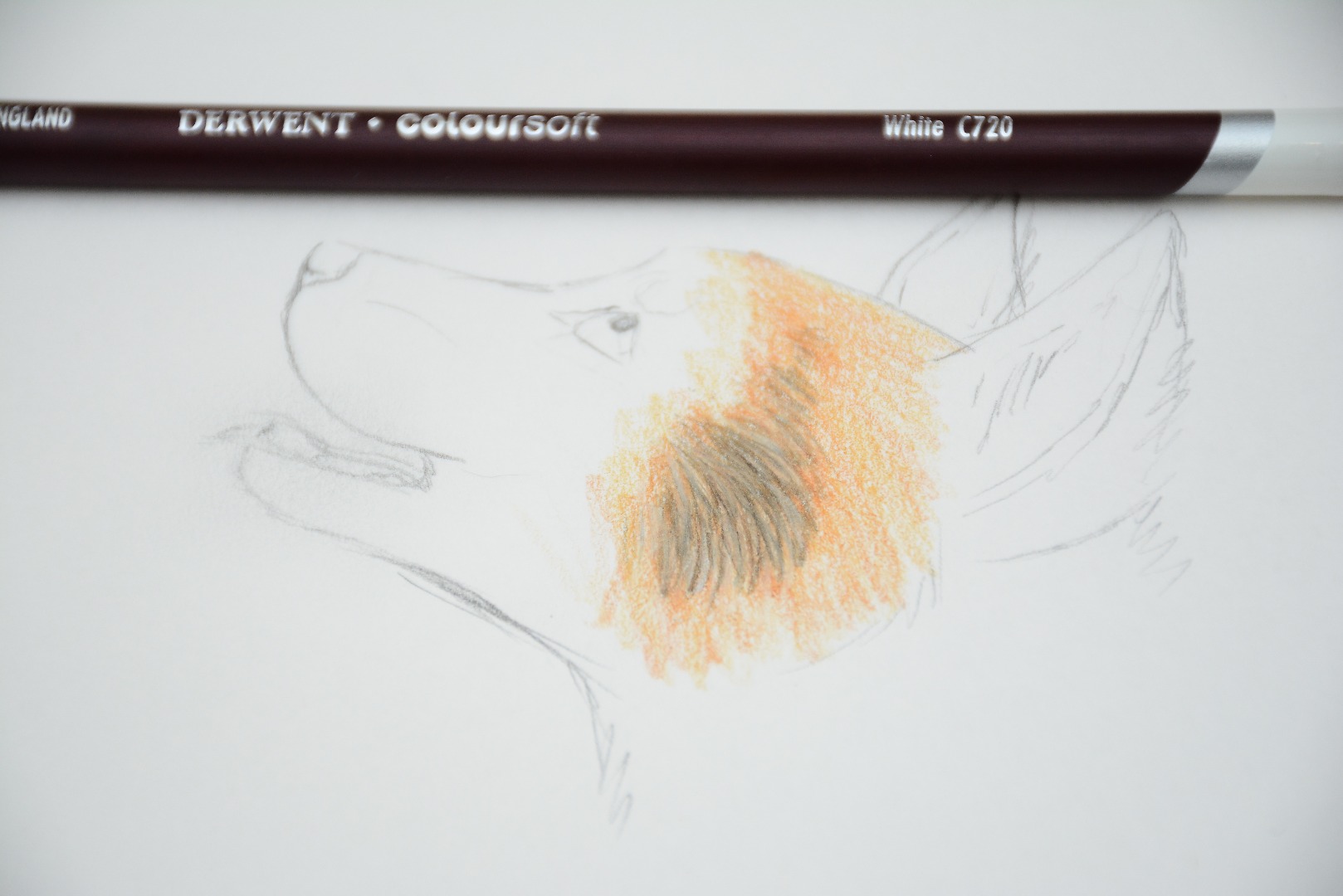 RLH_0429.JPG