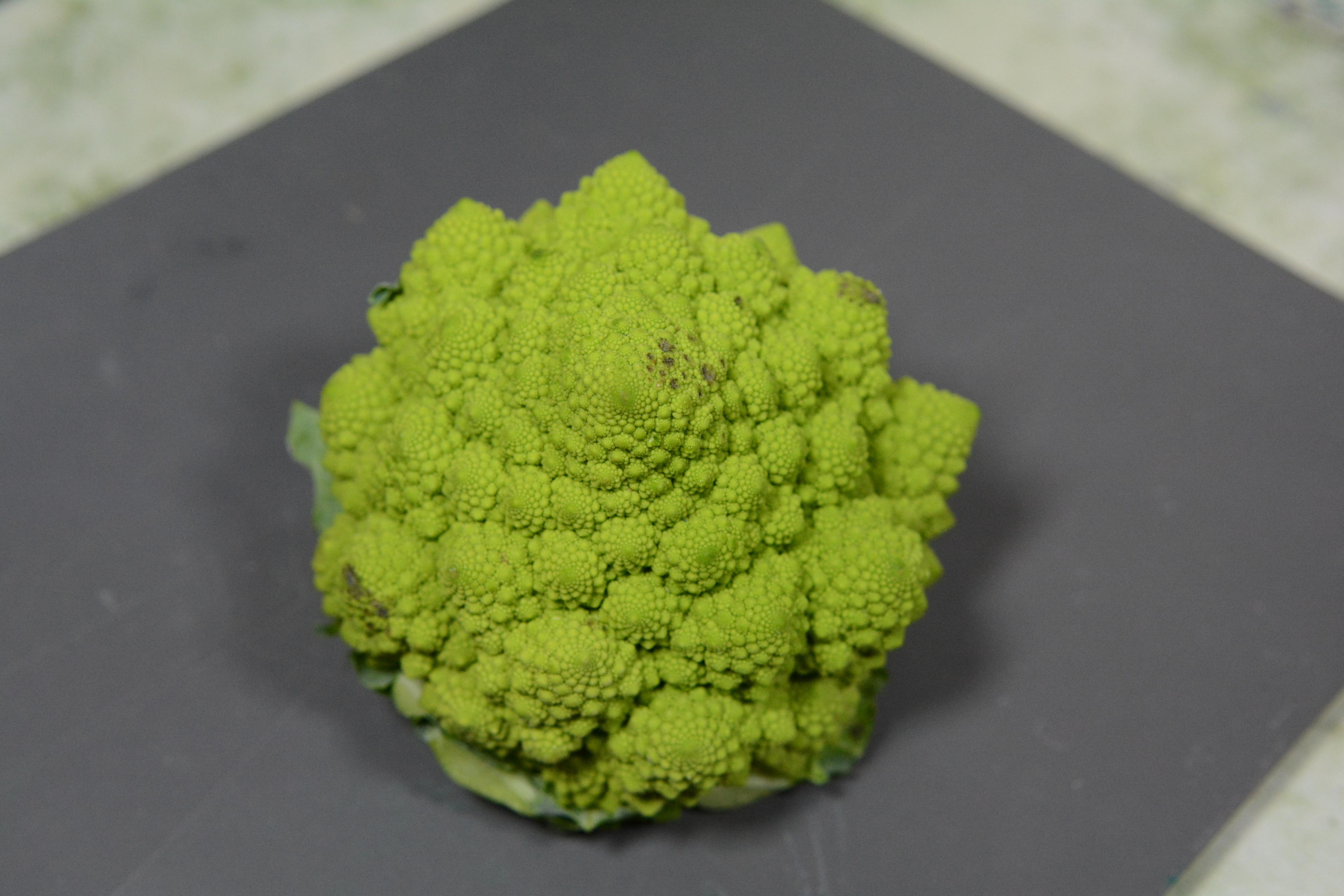 ROMANESCO 1  (1).JPG