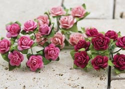 ROSES MINI  DARK PINKS.jpg