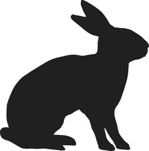 Rabbit.png