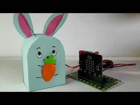 Rabbot - Bit Board &amp;amp; micro:bit