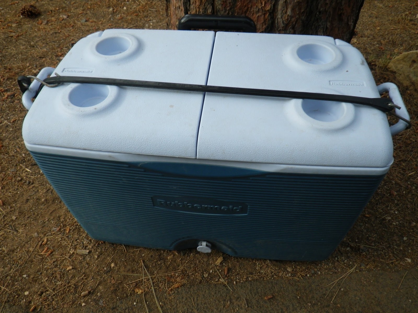 Racoon Safe cooler.jpg