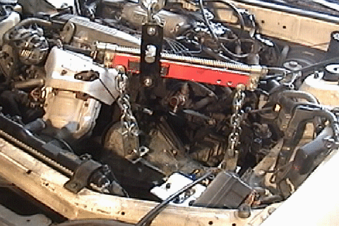 Radical Tranny Swap  Still Image.gif